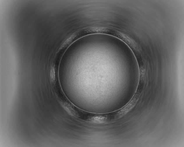 X0000116440158200912081604