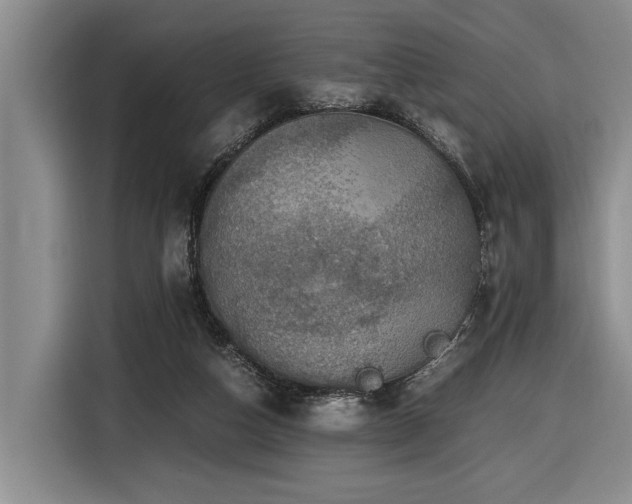 X0000116440162200912081604