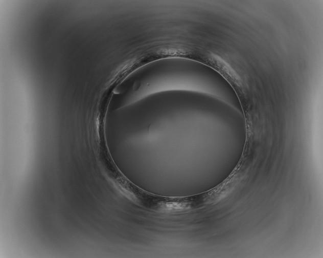 X0000116440163200912081604
