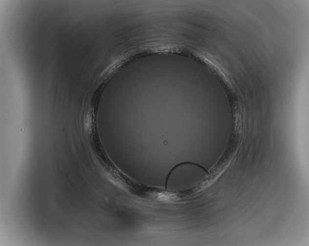 X0000116440165200912081604
