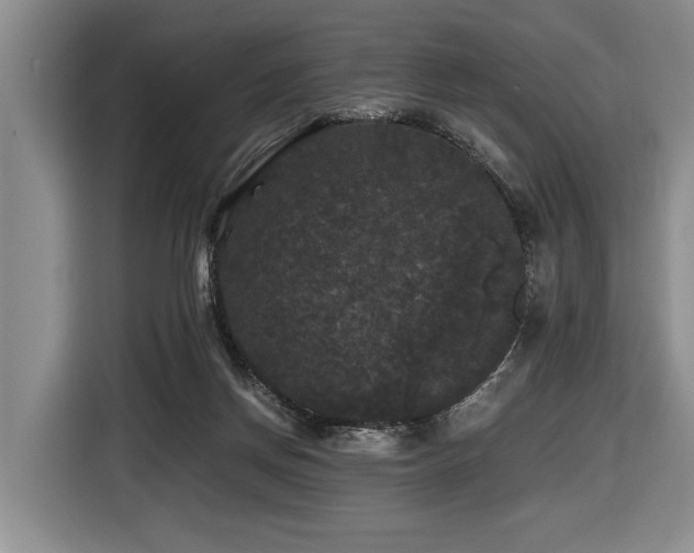 X0000116440166200912081604
