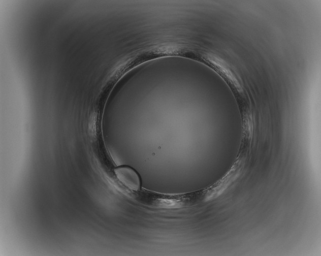 X0000116440167200912081604
