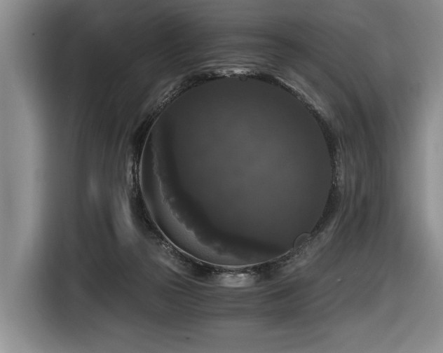 X0000116440169200912081604