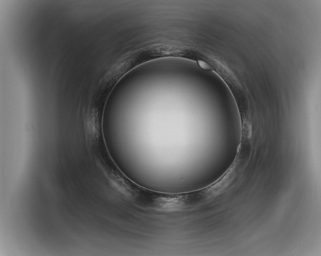 X0000116440170200912081604
