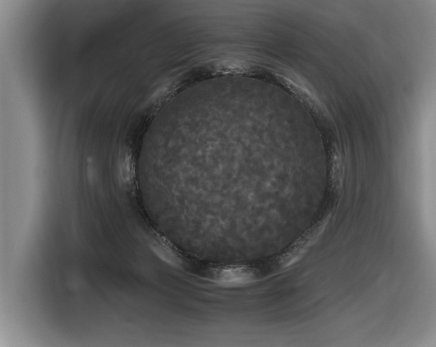 X0000116440173200912081604