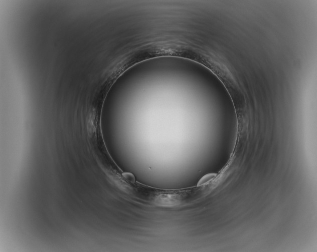 X0000116440174200912081604