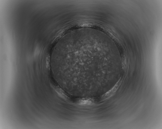 X0000116440175200912081604