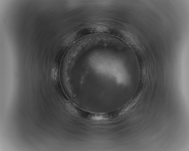X0000116440177200912081604