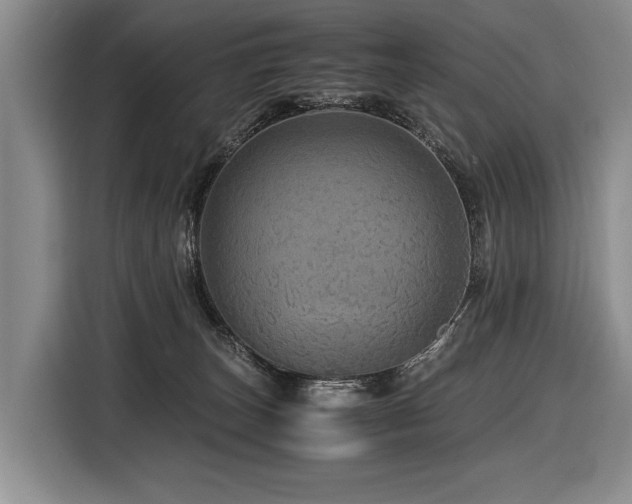 X0000116440179200912081604