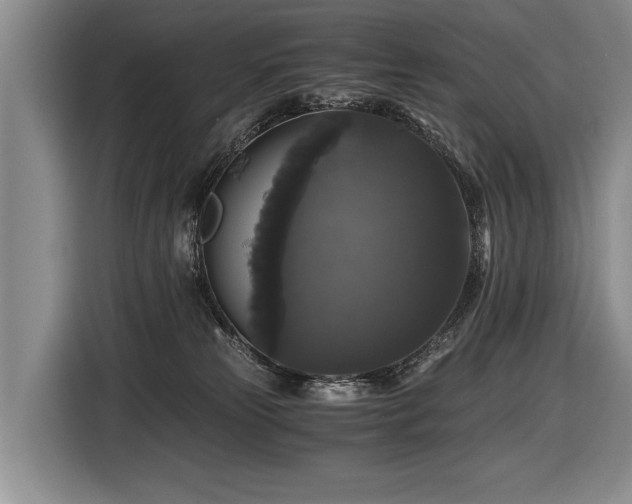 X0000116440181200912081604