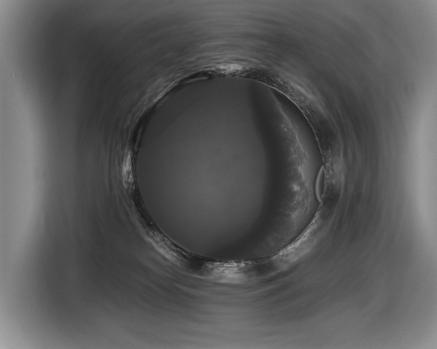 X0000116440182200912081604