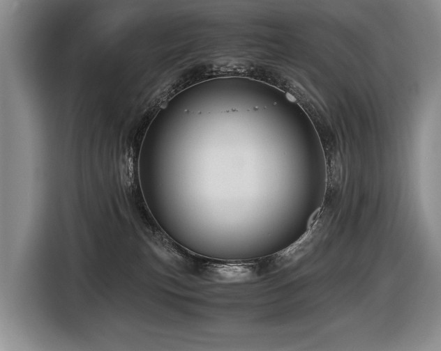 X0000116440183200912081604
