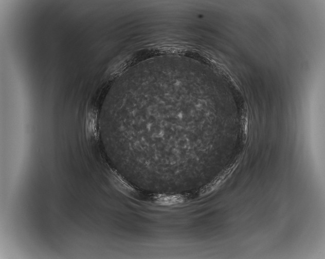 X0000116440185200912081604