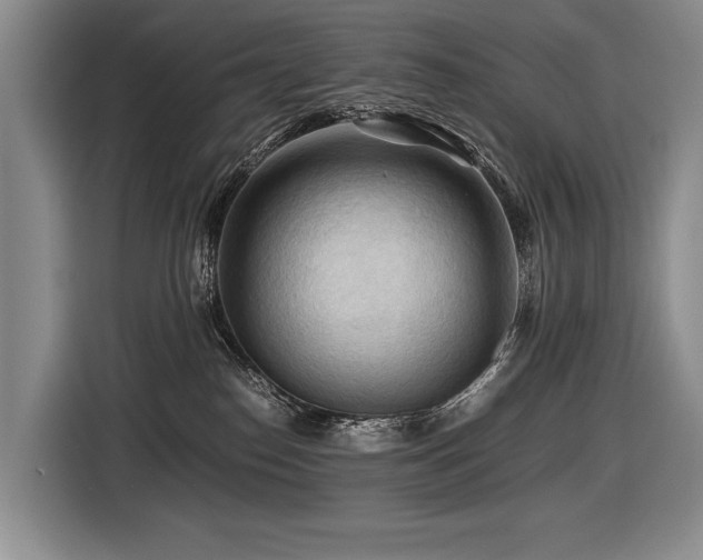 X0000116440186200912081604