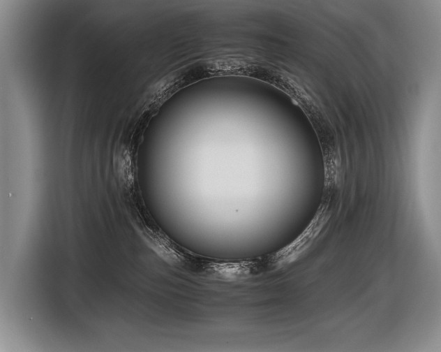 X0000116440187200912081604