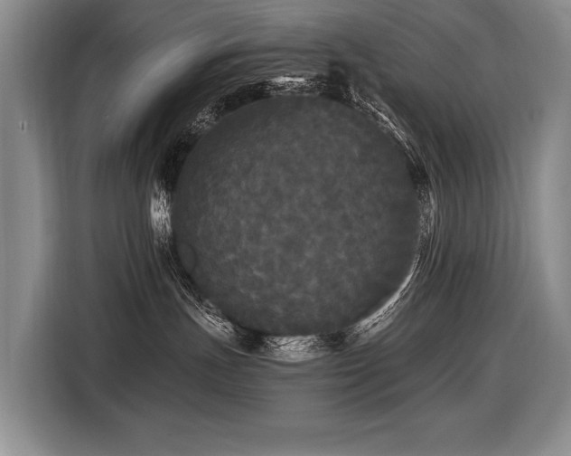 X0000116440191200912081604