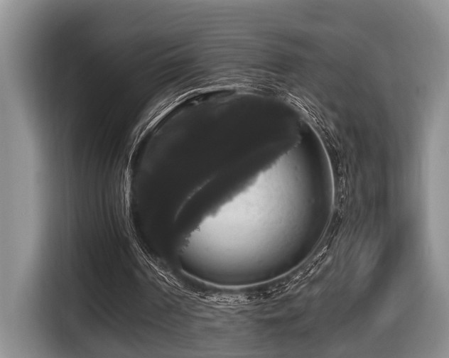 X0000116440194200912081604