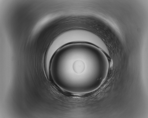 X0000116440195200912081604
