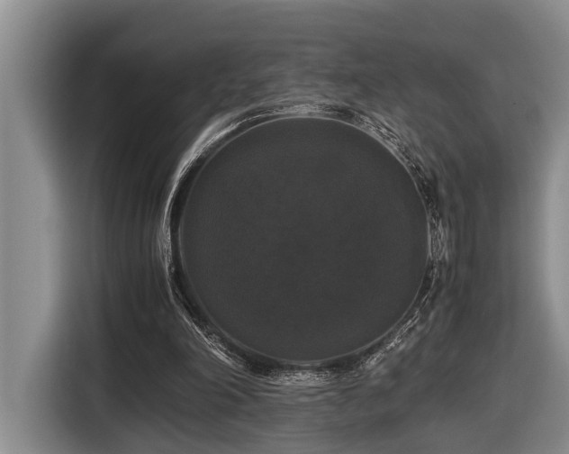 X0000116440198200912081604