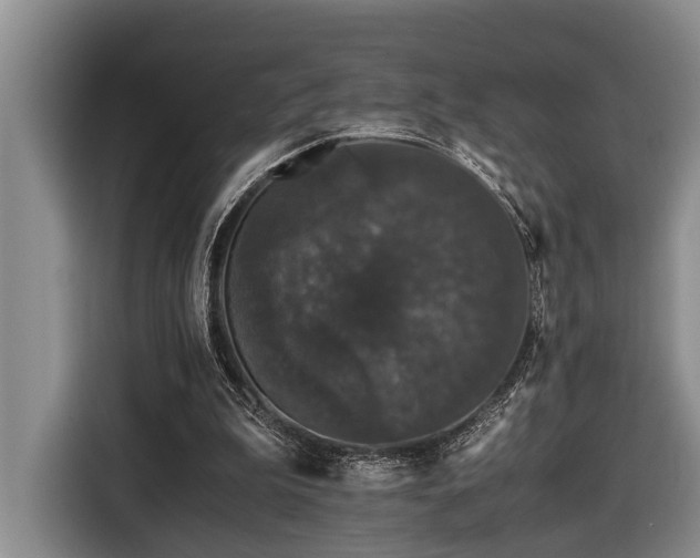 X0000116440199200912081604