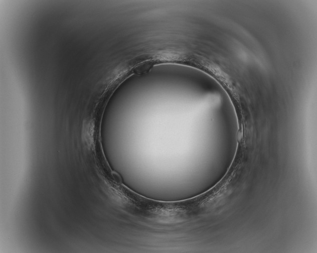 X0000116440201200912081604