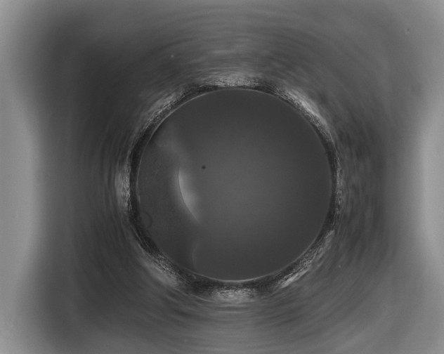 X0000116440202200912081603