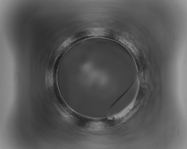 X0000116440203200912081603