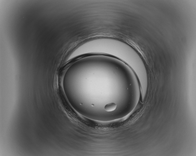 X0000116440205200912081603