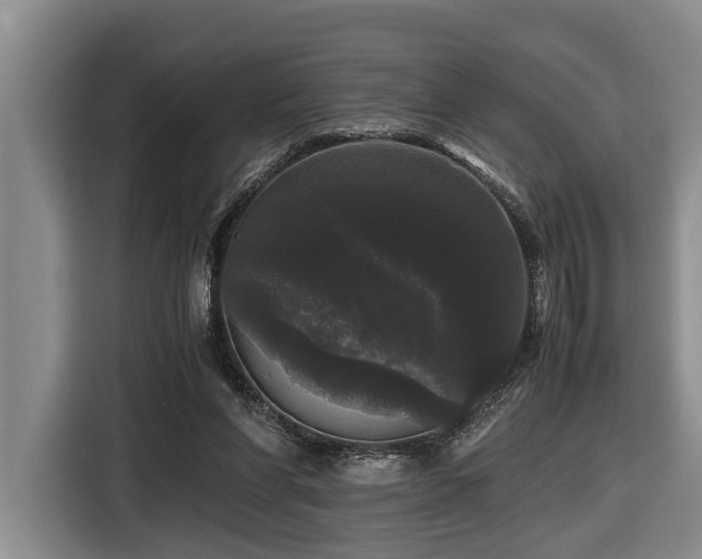 X0000116440206200912081603