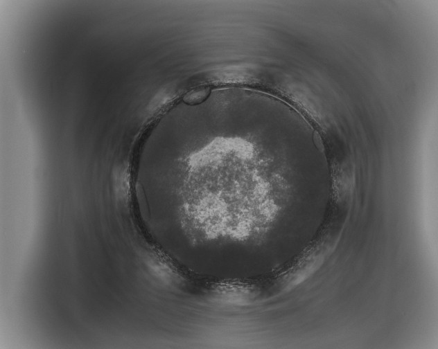 X0000116440207200912081603