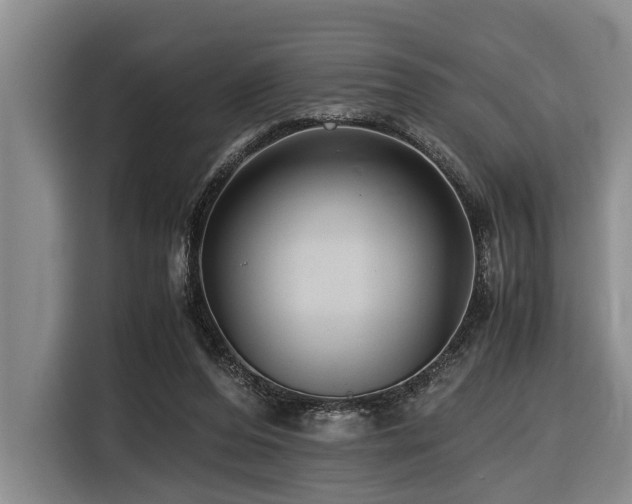 X0000116440208200912081603