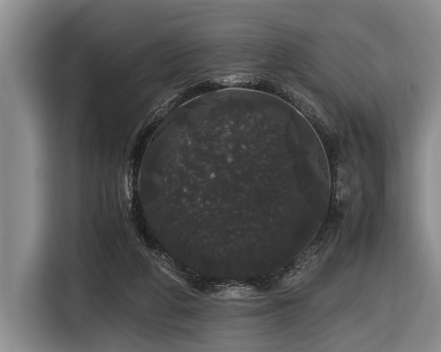 X0000116440210200912081603