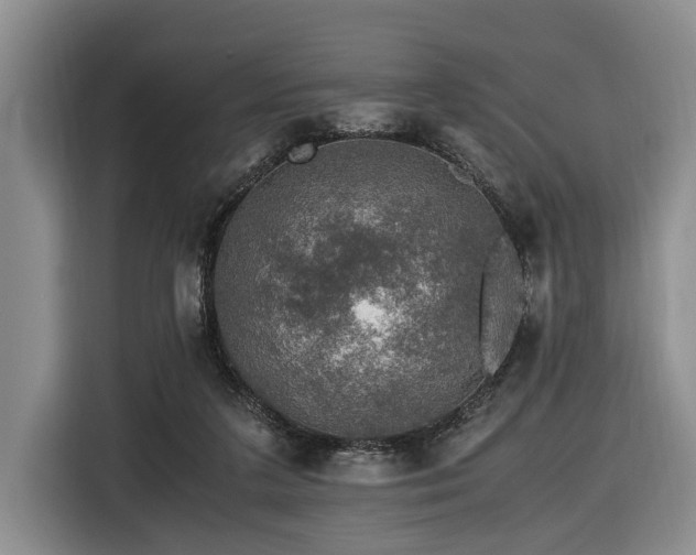X0000116440211200912081603
