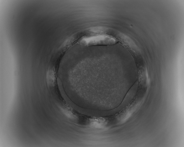 X0000116440215200912081603