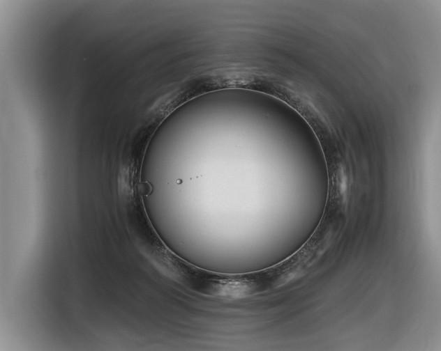 X0000116440218200912081603