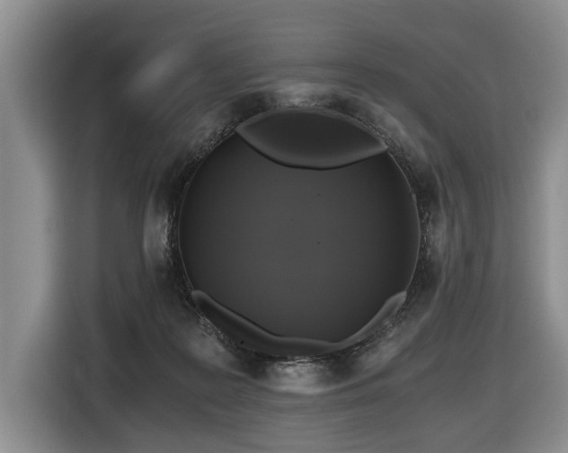 X0000116440219200912081603