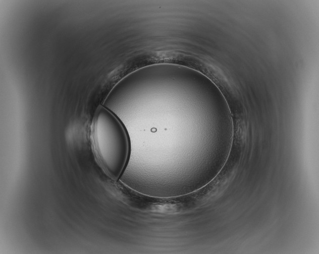 X0000116440220200912081603