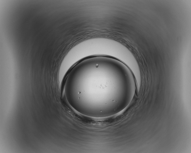 X0000116440221200912081603