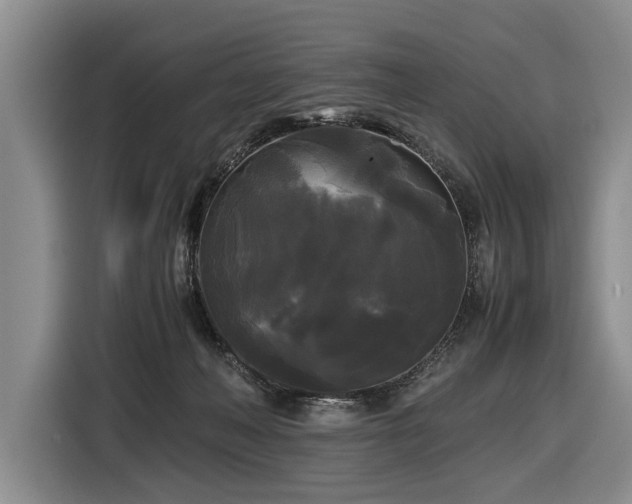 X0000116440222200912081603