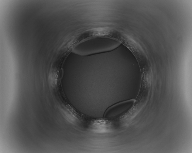 X0000116440227200912081603