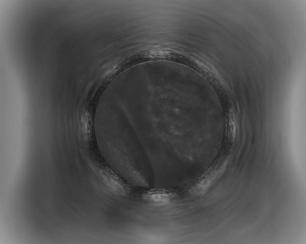 X0000116440228200912081603