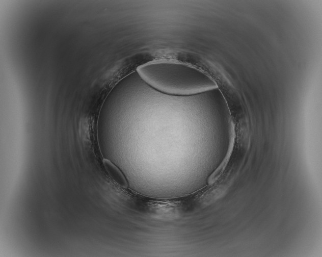 X0000116440229200912081603
