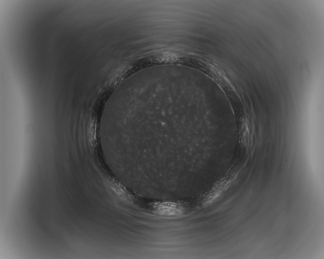 X0000116440230200912081603