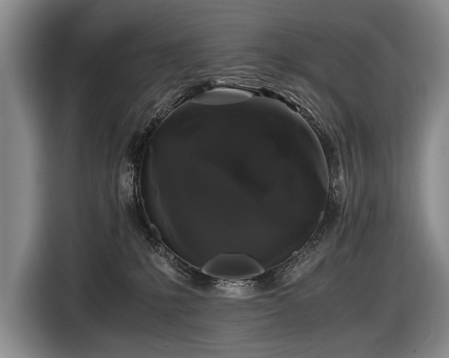 X0000116440231200912081603