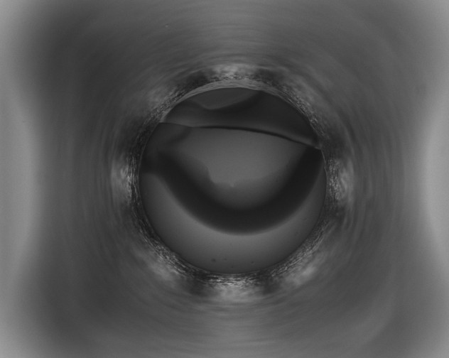 X0000116440235200912081603