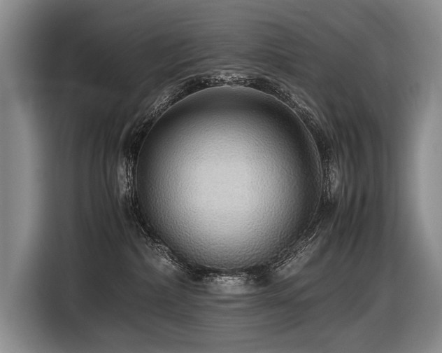 X0000116440236200912081603