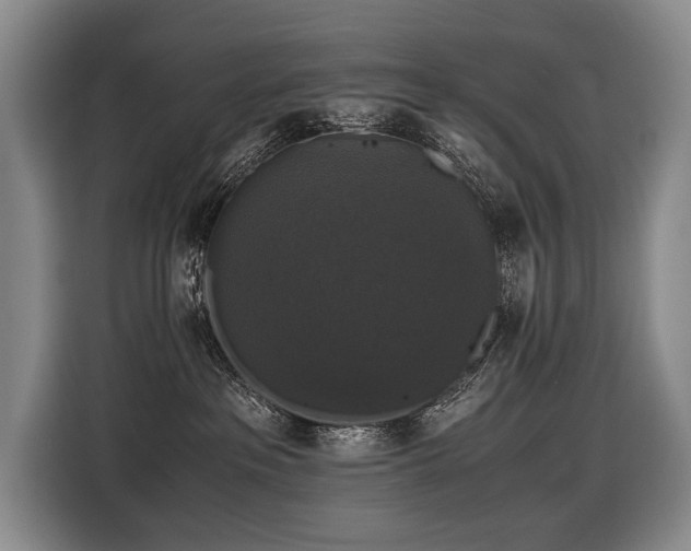 X0000116440237200912081603