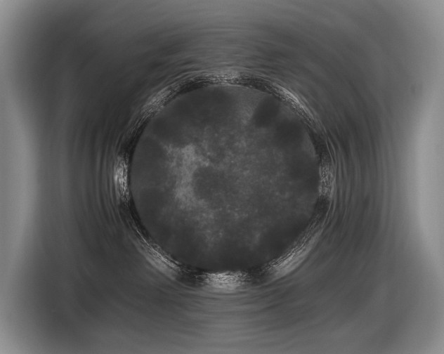 X0000116440238200912081603