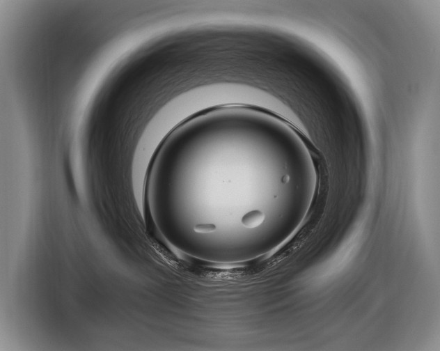 X0000116440239200912081603