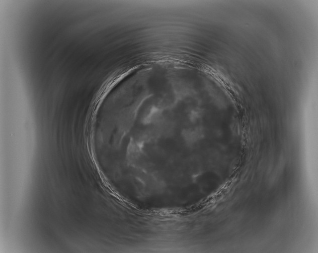 X0000116440241200912081602